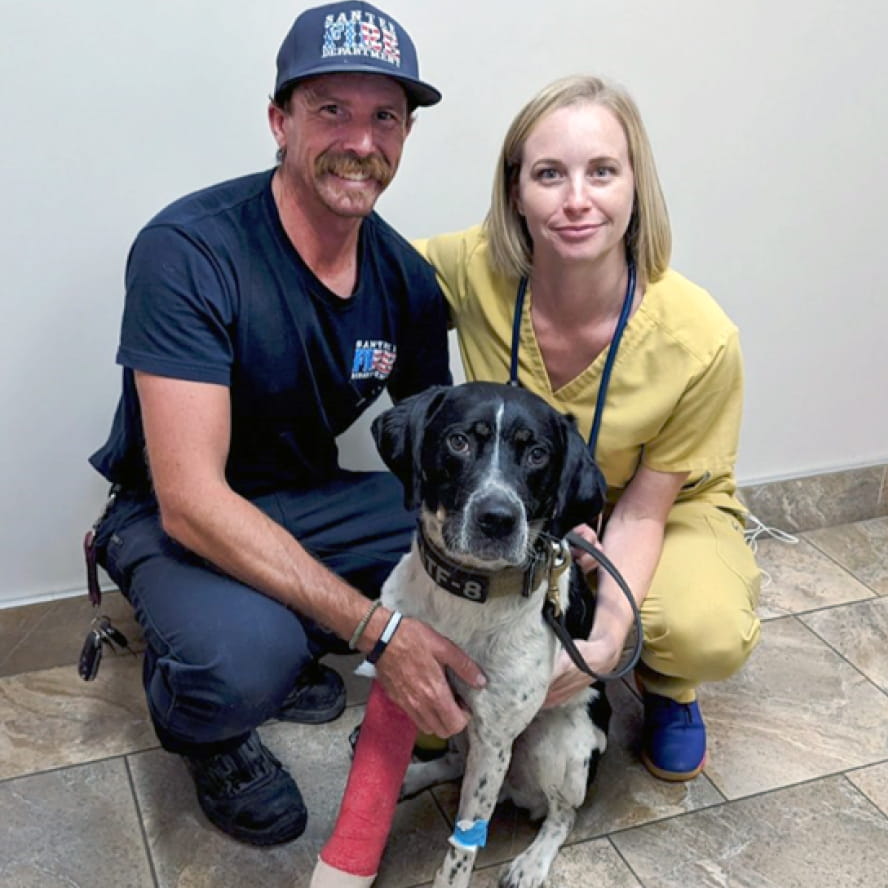 Two light-skinned people kneeling down next to a black and white dog with a red cast on one leg. One person wears a hat and shirt with a fire department logo. The other wears yellow scrubs and a stethoscope.